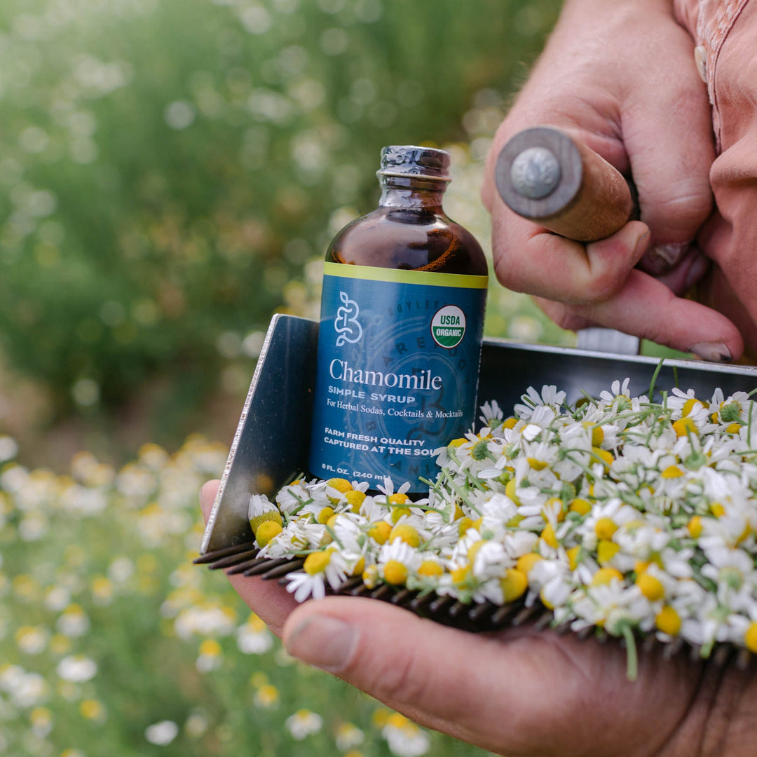 Bluestem Botanicals Organic Simple Syrups for Mocktails & Cocktails